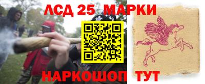 гидропоника Вязники