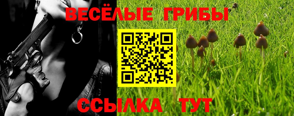 Псилоцибиновые грибы Psilocybe  Вход с VPN  Асино 