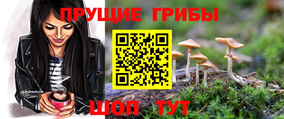 Псилоцибиновые грибы мицелий Асино